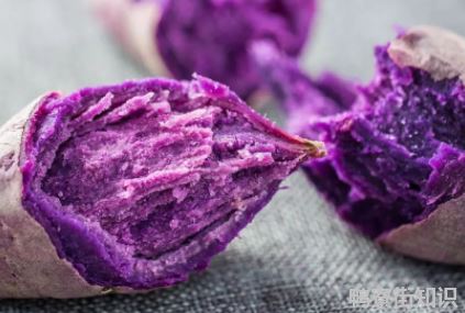 紫薯哪种不能吃4