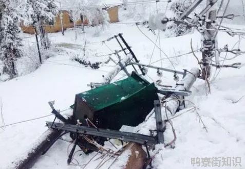 中国历史上最大暴雪是哪一年3