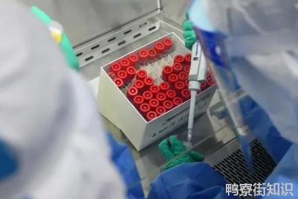 2022春节回青岛需要核酸检测吗1