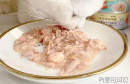 猫一点盐都不能吃吗2