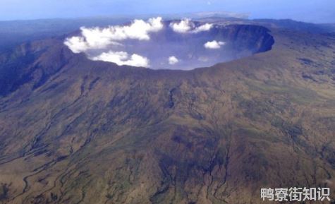 网传汤加火山爆发致扇贝涌入獐子岛真的假的3