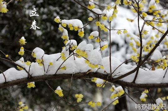 躲春白天可以见阳光吗3