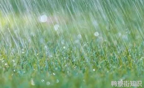 2022年厦门雨季一般是几月份3