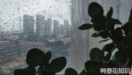 2022年厦门三月份雨水多吗2