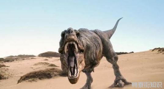 美国发现了一只活恐龙是真的吗3