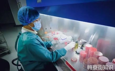 2022年上海大学生清明返沪要提供核酸证明吗3